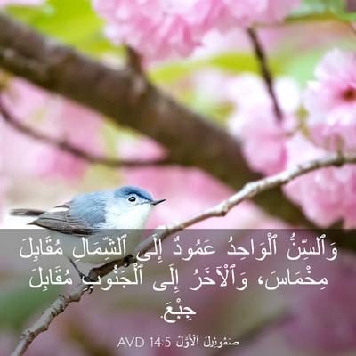 Picture 03 - صَمُوئِيلَ ٱلْأَوَّلُ 14:5 AVD - وَٱلسِّنُّ ٱلْوَاحِدُ - Bible Verse Picture