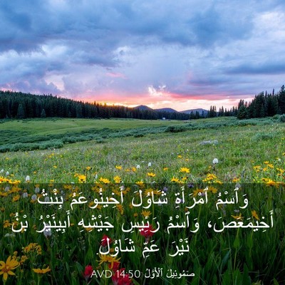 Picture 03 - صَمُوئِيلَ ٱلْأَوَّلُ 14:50 AVD - وَٱسْمُ ٱمْرَأَةِ شَاوُلَ - Bible Verse Picture