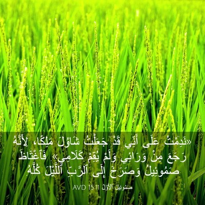 Picture 03 - صَمُوئِيلَ ٱلْأَوَّلُ 15:11 AVD - «نَدِمْتُ عَلَى أَنِّي - Bible Verse Picture