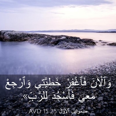Picture 03 - صَمُوئِيلَ ٱلْأَوَّلُ 15:25 AVD - وَٱلْآنَ فَٱغْفِرْ - Bible Verse Picture