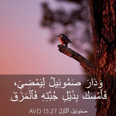 Picture 03 - صَمُوئِيلَ ٱلْأَوَّلُ 15:27 AVD - وَدَارَ صَمُوئِيلُ - Bible Verse Picture