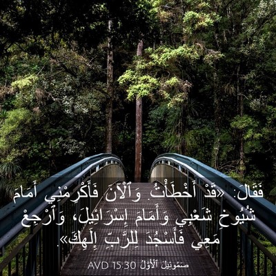 Picture 03 - صَمُوئِيلَ ٱلْأَوَّلُ 15:30 AVD - فَقَالَ: «قَدْ أَخْطَأْتُ. - Bible Verse Picture