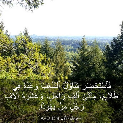 Picture 03 - صَمُوئِيلَ ٱلْأَوَّلُ 15:4 AVD - فَٱسْتَحْضَرَ شَاوُلُ - Bible Verse Picture