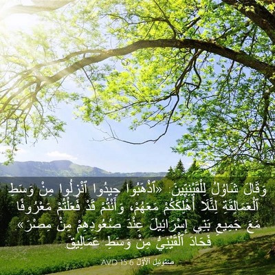 Picture 03 - صَمُوئِيلَ ٱلْأَوَّلُ 15:6 AVD - وَقَالَ شَاوُلُ - Bible Verse Picture