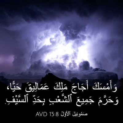Picture 03 - صَمُوئِيلَ ٱلْأَوَّلُ 15:8 AVD - وَأَمْسَكَ أَجَاجَ مَلِكَ - Bible Verse Picture
