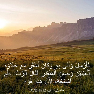 Picture 03 - صَمُوئِيلَ ٱلْأَوَّلُ 16:12 AVD - فَأَرْسَلَ وَأَتَى بِهِ. - Bible Verse Picture