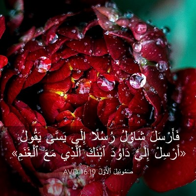 Picture 03 - صَمُوئِيلَ ٱلْأَوَّلُ 16:19 AVD - فَأَرْسَلَ شَاوُلُ - Bible Verse Picture