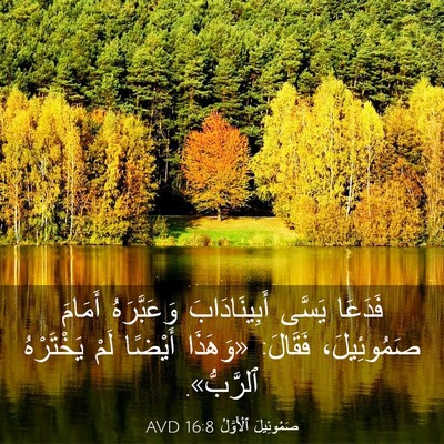 Picture 03 - صَمُوئِيلَ ٱلْأَوَّلُ 16:8 AVD - فَدَعَا يَسَّى - Bible Verse Picture