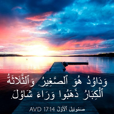 Picture 03 - صَمُوئِيلَ ٱلْأَوَّلُ 17:14 AVD - وَدَاوُدُ هُوَ ٱلصَّغِيرُ. - Bible Verse Picture