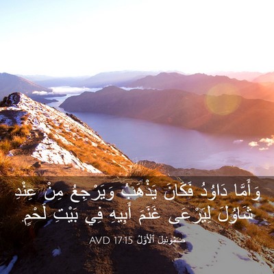 Picture 03 - صَمُوئِيلَ ٱلْأَوَّلُ 17:15 AVD - وَأَمَّا دَاوُدُ فَكَانَ - Bible Verse Picture