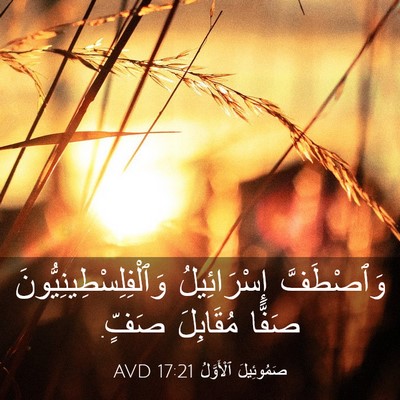 Picture 03 - صَمُوئِيلَ ٱلْأَوَّلُ 17:21 AVD - وَٱصْطَفَّ إِسْرَائِيلُ - Bible Verse Picture