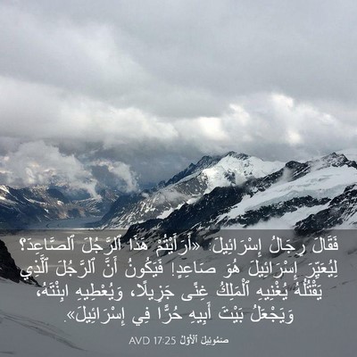Picture 03 - صَمُوئِيلَ ٱلْأَوَّلُ 17:25 AVD - فَقَالَ رِجَالُ - Bible Verse Picture