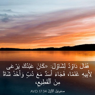 Picture 03 - صَمُوئِيلَ ٱلْأَوَّلُ 17:34 AVD - فَقَالَ دَاوُدُ لِشَاوُلَ: - Bible Verse Picture