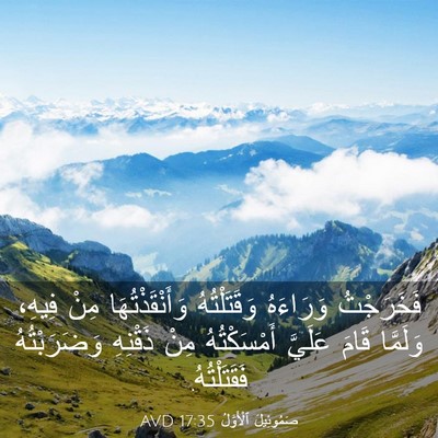 Picture 03 - صَمُوئِيلَ ٱلْأَوَّلُ 17:35 AVD - فَخَرَجْتُ وَرَاءَهُ - Bible Verse Picture