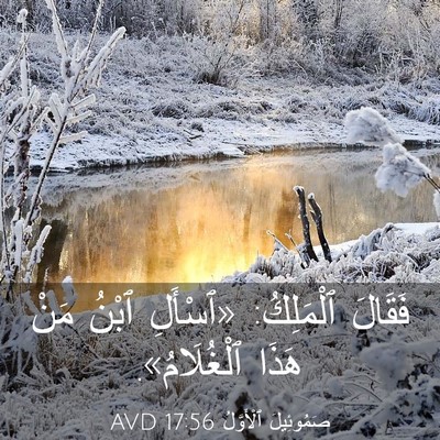 Picture 03 - صَمُوئِيلَ ٱلْأَوَّلُ 17:56 AVD - فَقَالَ ٱلْمَلِكُ: - Bible Verse Picture