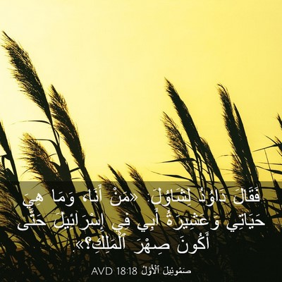 Picture 03 - صَمُوئِيلَ ٱلْأَوَّلُ 18:18 AVD - فَقَالَ دَاوُدُ لِشَاوُلَ: - Bible Verse Picture
