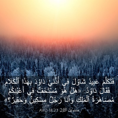 Picture 03 - صَمُوئِيلَ ٱلْأَوَّلُ 18:23 AVD - فَتَكَلَّمَ عَبِيدُ - Bible Verse Picture