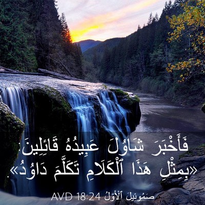 Picture 03 - صَمُوئِيلَ ٱلْأَوَّلُ 18:24 AVD - فَأَخْبَرَ شَاوُلَ - Bible Verse Picture
