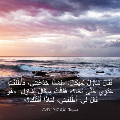 Picture 03 - صَمُوئِيلَ ٱلْأَوَّلُ 19:17 AVD - فَقَالَ شَاوُلُ - Bible Verse Picture