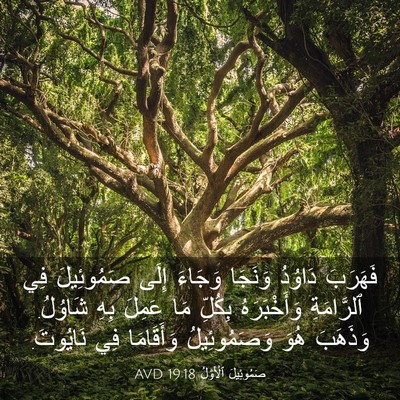 Picture 03 - صَمُوئِيلَ ٱلْأَوَّلُ 19:18 AVD - فَهَرَبَ دَاوُدُ وَنَجَا - Bible Verse Picture