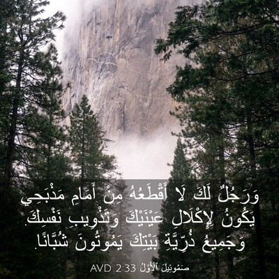 Picture 03 - صَمُوئِيلَ ٱلْأَوَّلُ 2:33 AVD - وَرَجُلٌ لَكَ لَا - Bible Verse Picture
