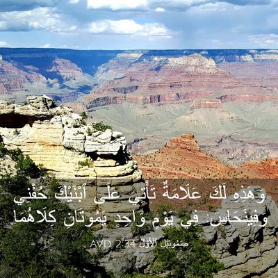 Picture 03 - صَمُوئِيلَ ٱلْأَوَّلُ 2:34 AVD - وَهَذِهِ لَكَ عَلَامَةٌ - Bible Verse Picture