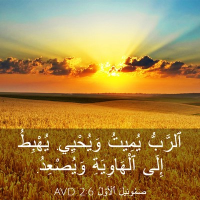 Picture 03 - صَمُوئِيلَ ٱلْأَوَّلُ 2:6 AVD - ٱلرَّبُّ يُمِيتُ - Bible Verse Picture