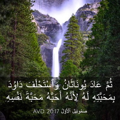 Picture 03 - صَمُوئِيلَ ٱلْأَوَّلُ 20:17 AVD - ثُمَّ عَادَ يُونَاثَانُ - Bible Verse Picture