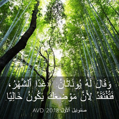 Picture 03 - صَمُوئِيلَ ٱلْأَوَّلُ 20:18 AVD - وَقَالَ لَهُ يُونَاثَانُ: - Bible Verse Picture