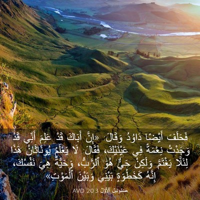 Picture 03 - صَمُوئِيلَ ٱلْأَوَّلُ 20:3 AVD - فَحَلَفَ أَيْضًا دَاوُدُ - Bible Verse Picture