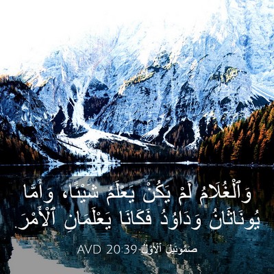 Picture 03 - صَمُوئِيلَ ٱلْأَوَّلُ 20:39 AVD - وَٱلْغُلَامُ لَمْ يَكُنْ - Bible Verse Picture