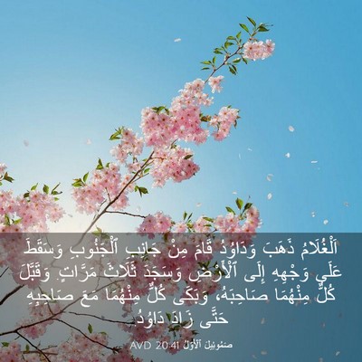 Picture 03 - صَمُوئِيلَ ٱلْأَوَّلُ 20:41 AVD - اَلْغُلَامُ ذَهَبَ - Bible Verse Picture
