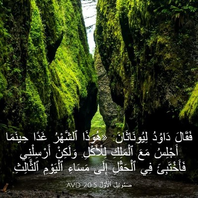 Picture 03 - صَمُوئِيلَ ٱلْأَوَّلُ 20:5 AVD - فَقَالَ دَاوُدُ - Bible Verse Picture