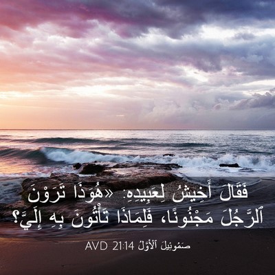 Picture 03 - صَمُوئِيلَ ٱلْأَوَّلُ 21:14 AVD - فَقَالَ أَخِيشُ - Bible Verse Picture