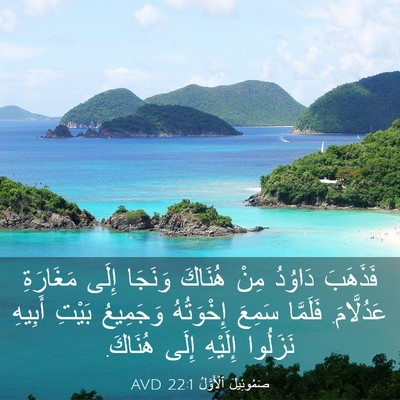 Picture 03 - صَمُوئِيلَ ٱلْأَوَّلُ 22:1 AVD - فَذَهَبَ دَاوُدُ مِنْ - Bible Verse Picture
