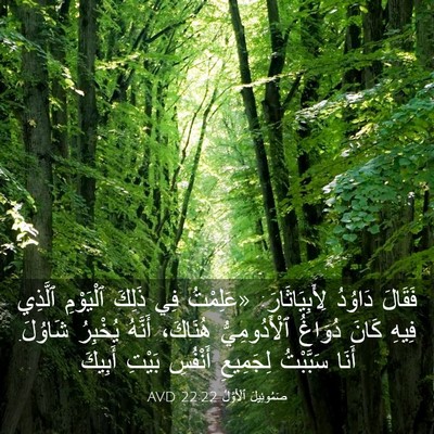 Picture 03 - صَمُوئِيلَ ٱلْأَوَّلُ 22:22 AVD - فَقَالَ دَاوُدُ - Bible Verse Picture