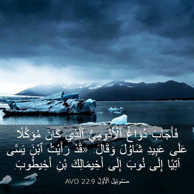 Picture 03 - صَمُوئِيلَ ٱلْأَوَّلُ 22:9 AVD - فَأَجَابَ دُوَاغُ - Bible Verse Picture