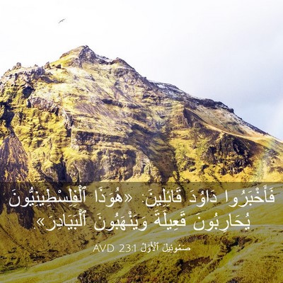 Picture 03 - صَمُوئِيلَ ٱلْأَوَّلُ 23:1 AVD - فَأَخْبَرُوا دَاوُدَ - Bible Verse Picture
