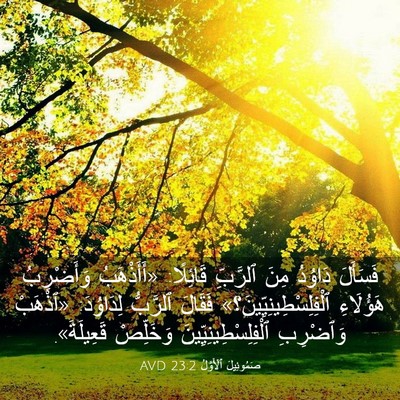 Picture 03 - صَمُوئِيلَ ٱلْأَوَّلُ 23:2 AVD - فَسَأَلَ دَاوُدُ مِنَ - Bible Verse Picture