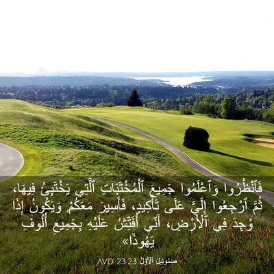 Picture 03 - صَمُوئِيلَ ٱلْأَوَّلُ 23:23 AVD - فَٱنْظُرُوا وَٱعْلَمُوا - Bible Verse Picture