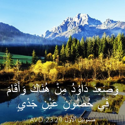 Picture 03 - صَمُوئِيلَ ٱلْأَوَّلُ 23:29 AVD - وَصَعِدَ دَاوُدُ مِنْ - Bible Verse Picture