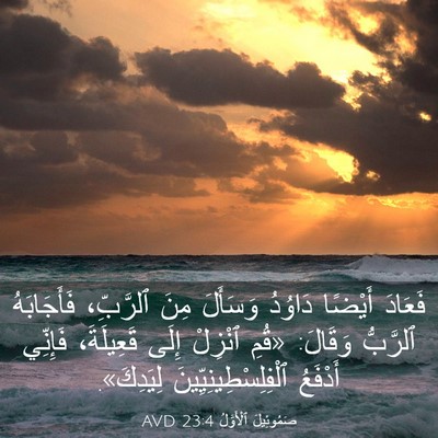 Picture 03 - صَمُوئِيلَ ٱلْأَوَّلُ 23:4 AVD - فَعَادَ أَيْضًا دَاوُدُ - Bible Verse Picture