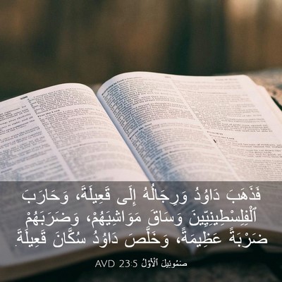 Picture 03 - صَمُوئِيلَ ٱلْأَوَّلُ 23:5 AVD - فَذَهَبَ دَاوُدُ - Bible Verse Picture