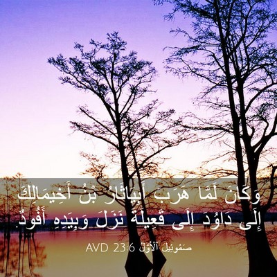 Picture 03 - صَمُوئِيلَ ٱلْأَوَّلُ 23:6 AVD - وَكَانَ لَمَّا هَرَبَ - Bible Verse Picture