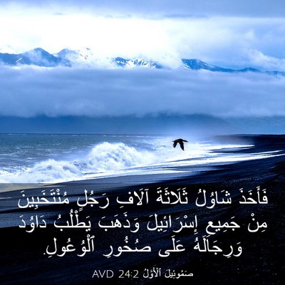 Picture 03 - صَمُوئِيلَ ٱلْأَوَّلُ 24:2 AVD - فَأَخَذَ شَاوُلُ - Bible Verse Picture