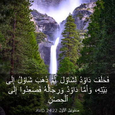 Picture 03 - صَمُوئِيلَ ٱلْأَوَّلُ 24:22 AVD - فَحَلَفَ دَاوُدُ - Bible Verse Picture