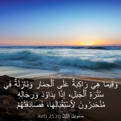 Picture 03 - صَمُوئِيلَ ٱلْأَوَّلُ 25:20 AVD - وَفِيمَا هِيَ رَاكِبَةٌ - Bible Verse Picture