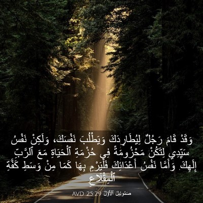 Picture 03 - صَمُوئِيلَ ٱلْأَوَّلُ 25:29 AVD - وَقَدْ قَامَ رَجُلٌ - Bible Verse Picture