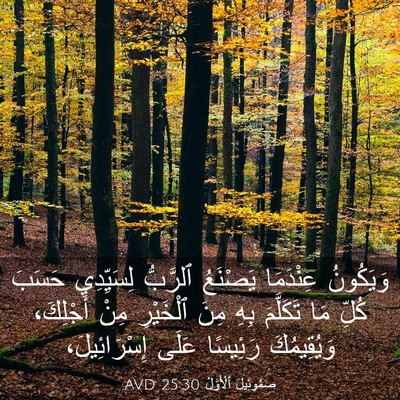 Picture 03 - صَمُوئِيلَ ٱلْأَوَّلُ 25:30 AVD - وَيَكُونُ عِنْدَمَا - Bible Verse Picture