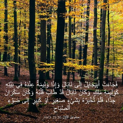 Picture 03 - صَمُوئِيلَ ٱلْأَوَّلُ 25:36 AVD - فَجَاءَتْ أَبِيجَايِلُ - Bible Verse Picture